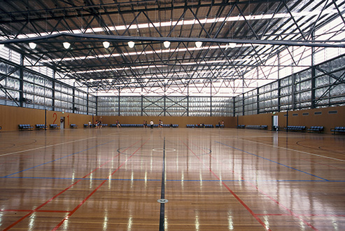 rmit netball