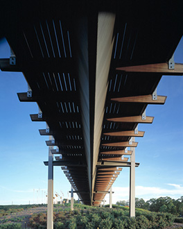pedestrian bridge birrarung marr